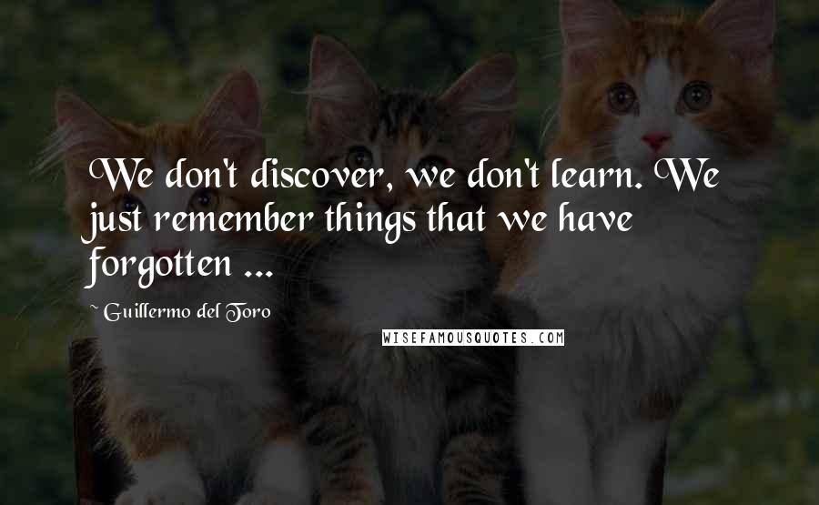 Guillermo Del Toro Quotes: We don't discover, we don't learn. We just remember things that we have forgotten ...