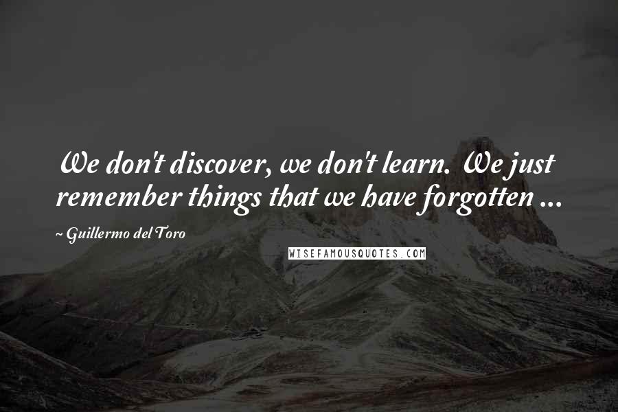 Guillermo Del Toro Quotes: We don't discover, we don't learn. We just remember things that we have forgotten ...