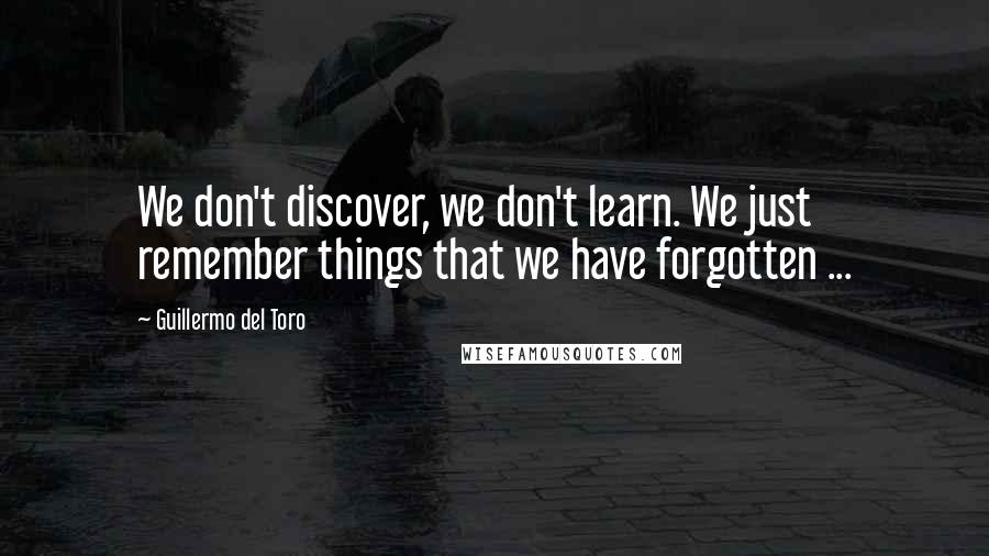 Guillermo Del Toro Quotes: We don't discover, we don't learn. We just remember things that we have forgotten ...