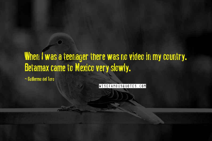 Guillermo Del Toro Quotes: When I was a teenager there was no video in my country. Betamax came to Mexico very slowly.