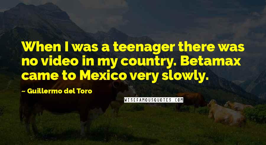 Guillermo Del Toro Quotes: When I was a teenager there was no video in my country. Betamax came to Mexico very slowly.