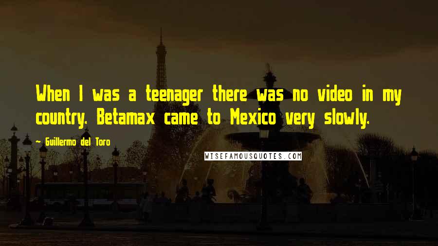 Guillermo Del Toro Quotes: When I was a teenager there was no video in my country. Betamax came to Mexico very slowly.