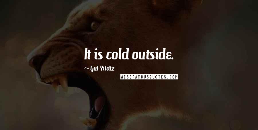 Gul Yildiz Quotes: It is cold outside.