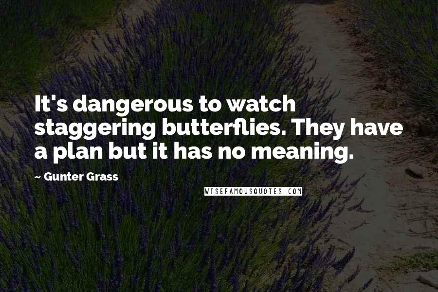 Gunter Grass Quotes: It's dangerous to watch staggering butterflies. They have a plan but it has no meaning.