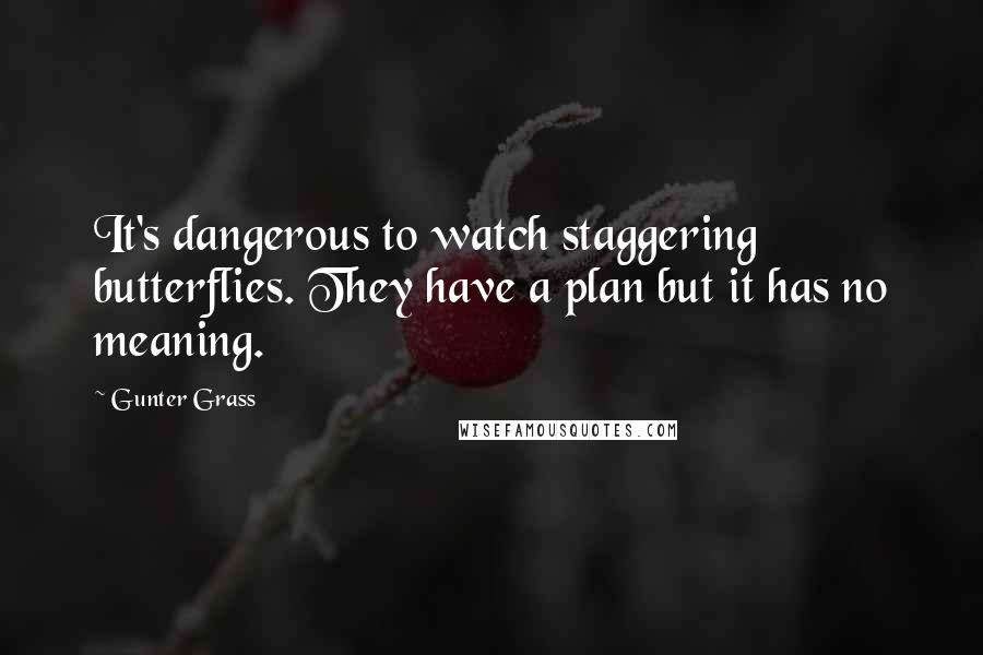 Gunter Grass Quotes: It's dangerous to watch staggering butterflies. They have a plan but it has no meaning.