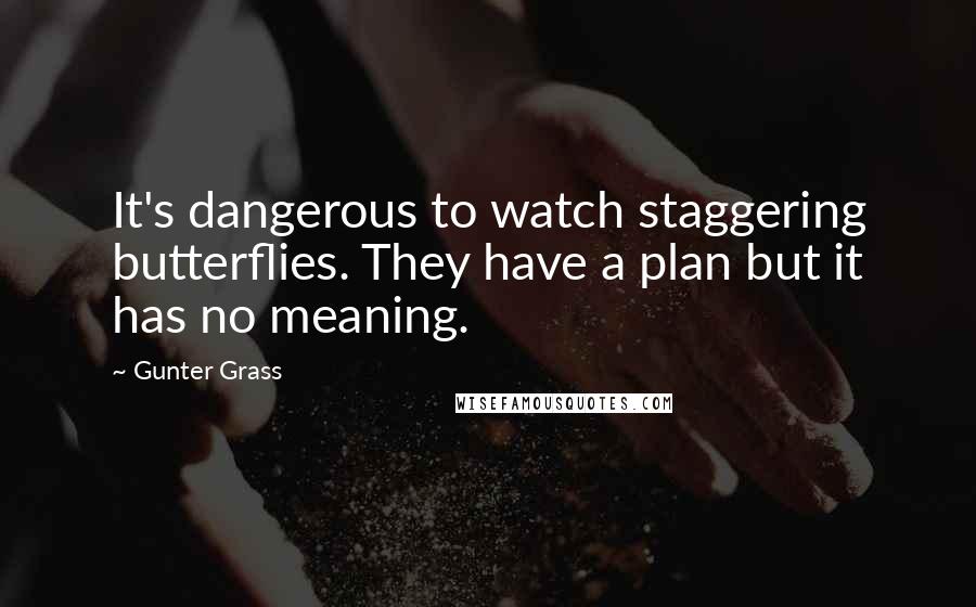 Gunter Grass Quotes: It's dangerous to watch staggering butterflies. They have a plan but it has no meaning.