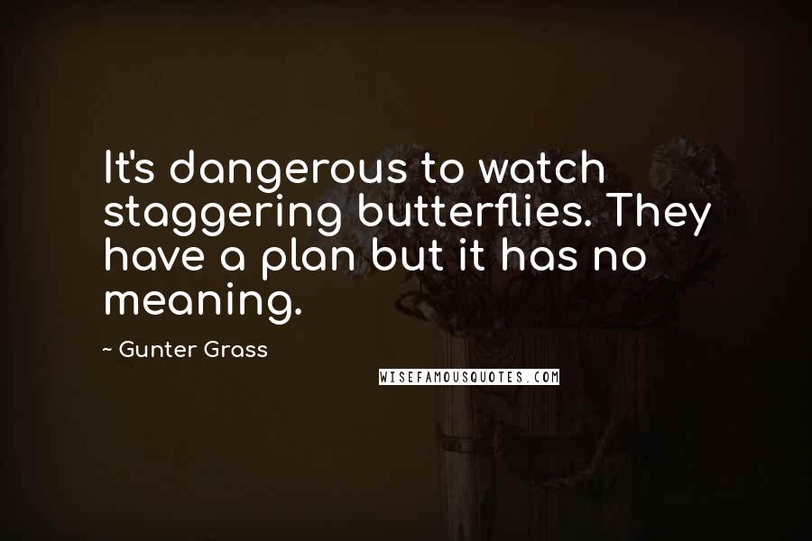 Gunter Grass Quotes: It's dangerous to watch staggering butterflies. They have a plan but it has no meaning.