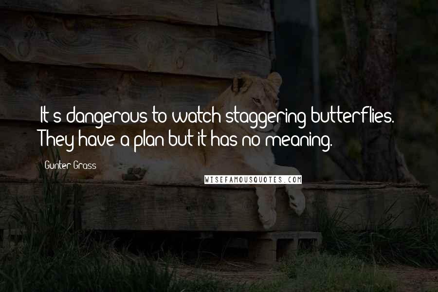 Gunter Grass Quotes: It's dangerous to watch staggering butterflies. They have a plan but it has no meaning.