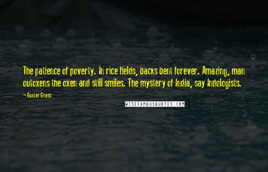 Gunter Grass Quotes: The patience of poverty. In rice fields, backs bent forever. Amazing, man outoxens the oxen and still smiles. The mystery of India, say Indologists.