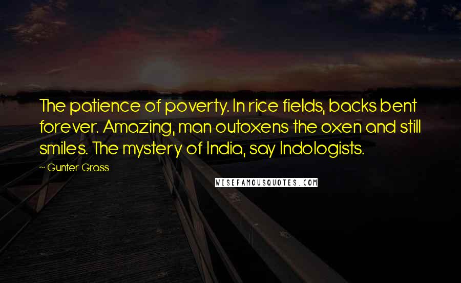 Gunter Grass Quotes: The patience of poverty. In rice fields, backs bent forever. Amazing, man outoxens the oxen and still smiles. The mystery of India, say Indologists.