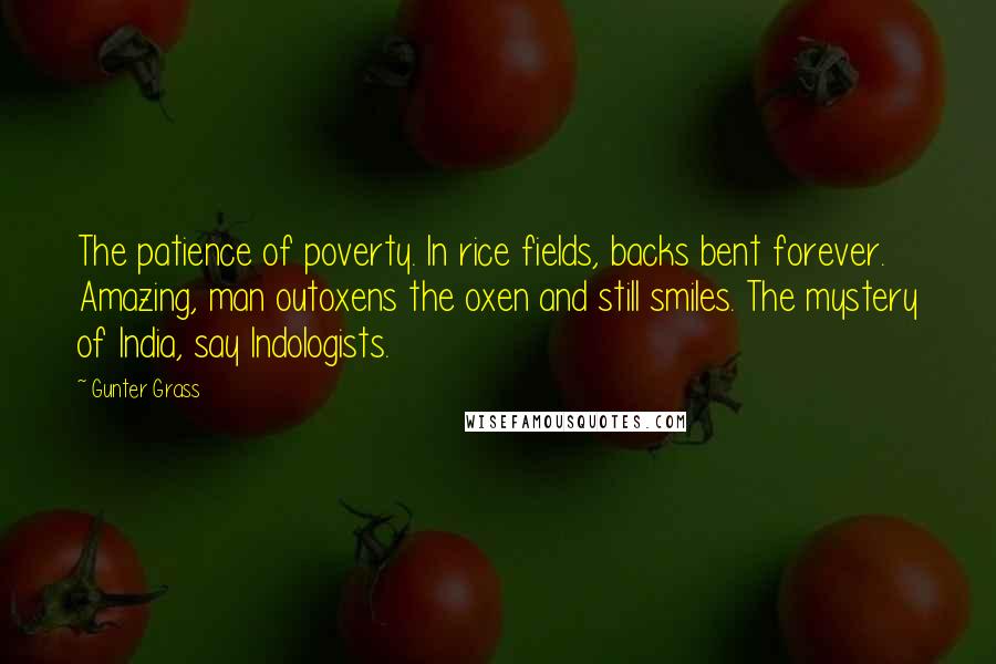 Gunter Grass Quotes: The patience of poverty. In rice fields, backs bent forever. Amazing, man outoxens the oxen and still smiles. The mystery of India, say Indologists.