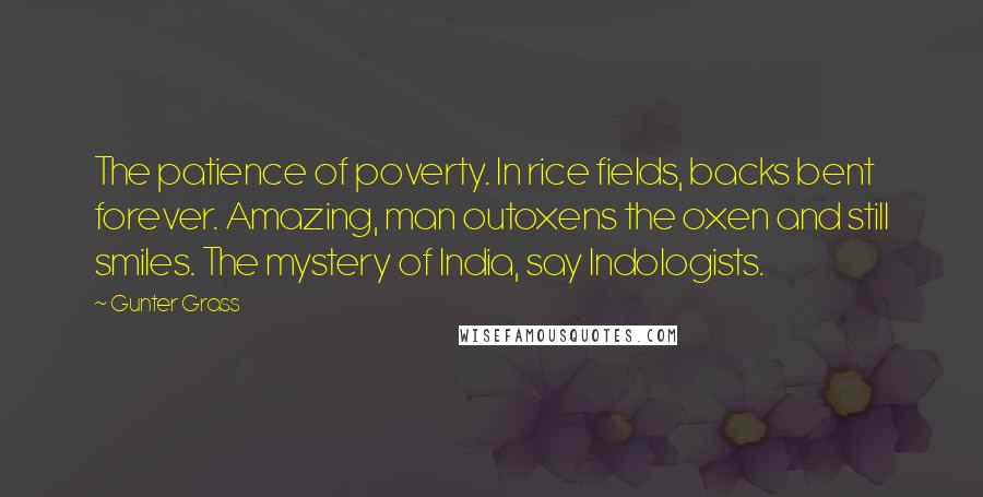 Gunter Grass Quotes: The patience of poverty. In rice fields, backs bent forever. Amazing, man outoxens the oxen and still smiles. The mystery of India, say Indologists.