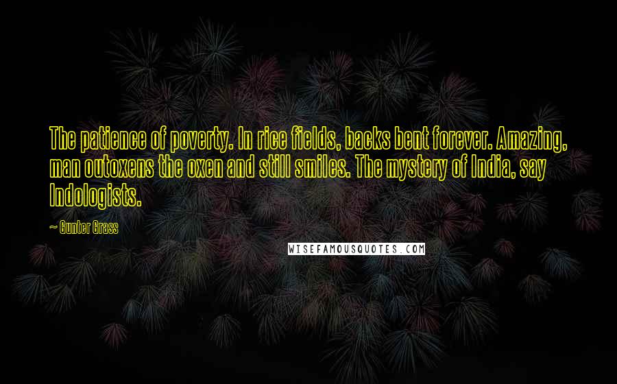 Gunter Grass Quotes: The patience of poverty. In rice fields, backs bent forever. Amazing, man outoxens the oxen and still smiles. The mystery of India, say Indologists.