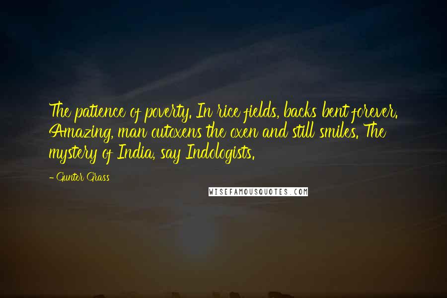 Gunter Grass Quotes: The patience of poverty. In rice fields, backs bent forever. Amazing, man outoxens the oxen and still smiles. The mystery of India, say Indologists.