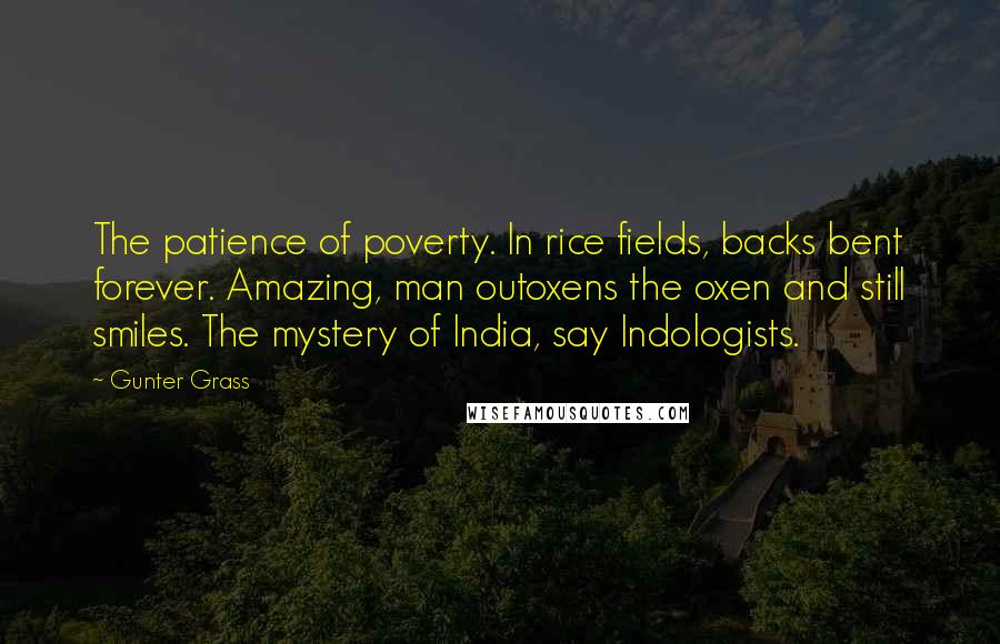 Gunter Grass Quotes: The patience of poverty. In rice fields, backs bent forever. Amazing, man outoxens the oxen and still smiles. The mystery of India, say Indologists.