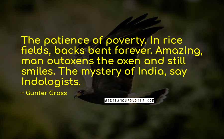 Gunter Grass Quotes: The patience of poverty. In rice fields, backs bent forever. Amazing, man outoxens the oxen and still smiles. The mystery of India, say Indologists.