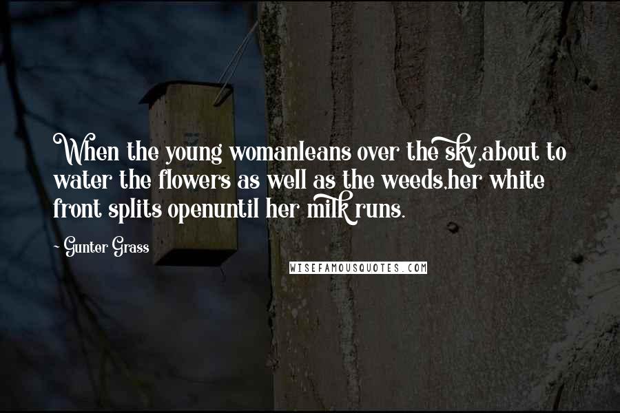 Gunter Grass Quotes: When the young womanleans over the sky,about to water the flowers as well as the weeds,her white front splits openuntil her milk runs.