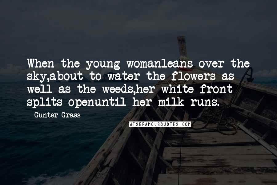 Gunter Grass Quotes: When the young womanleans over the sky,about to water the flowers as well as the weeds,her white front splits openuntil her milk runs.