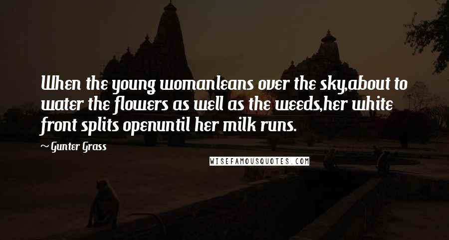 Gunter Grass Quotes: When the young womanleans over the sky,about to water the flowers as well as the weeds,her white front splits openuntil her milk runs.