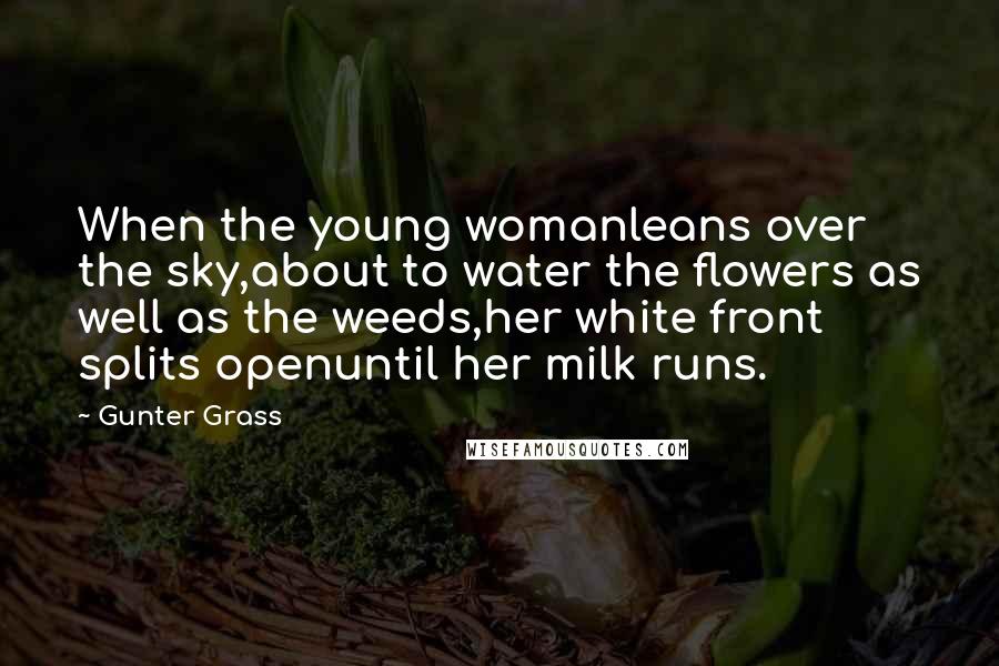 Gunter Grass Quotes: When the young womanleans over the sky,about to water the flowers as well as the weeds,her white front splits openuntil her milk runs.