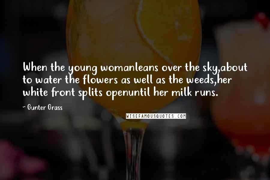 Gunter Grass Quotes: When the young womanleans over the sky,about to water the flowers as well as the weeds,her white front splits openuntil her milk runs.