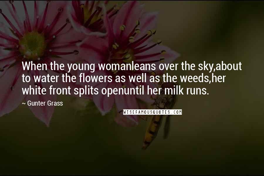 Gunter Grass Quotes: When the young womanleans over the sky,about to water the flowers as well as the weeds,her white front splits openuntil her milk runs.