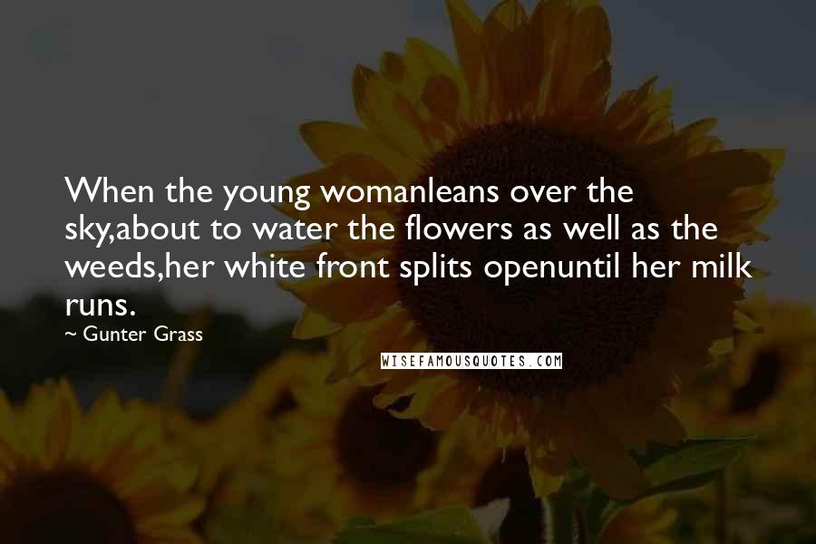 Gunter Grass Quotes: When the young womanleans over the sky,about to water the flowers as well as the weeds,her white front splits openuntil her milk runs.