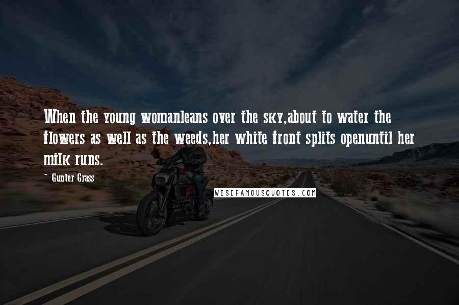 Gunter Grass Quotes: When the young womanleans over the sky,about to water the flowers as well as the weeds,her white front splits openuntil her milk runs.