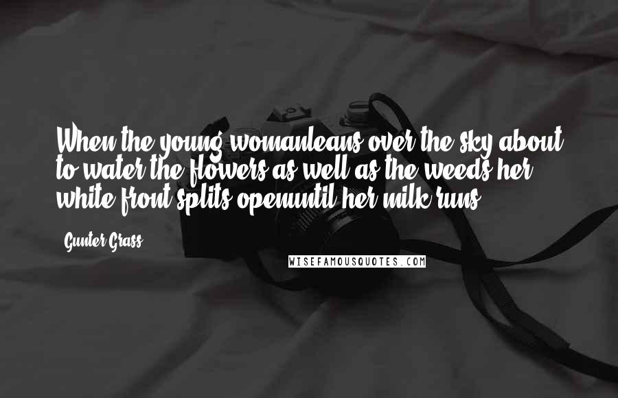 Gunter Grass Quotes: When the young womanleans over the sky,about to water the flowers as well as the weeds,her white front splits openuntil her milk runs.