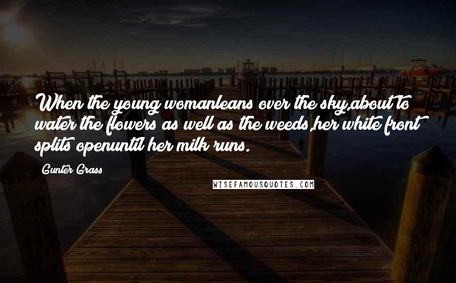 Gunter Grass Quotes: When the young womanleans over the sky,about to water the flowers as well as the weeds,her white front splits openuntil her milk runs.