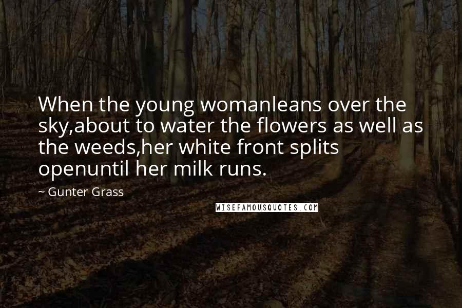 Gunter Grass Quotes: When the young womanleans over the sky,about to water the flowers as well as the weeds,her white front splits openuntil her milk runs.