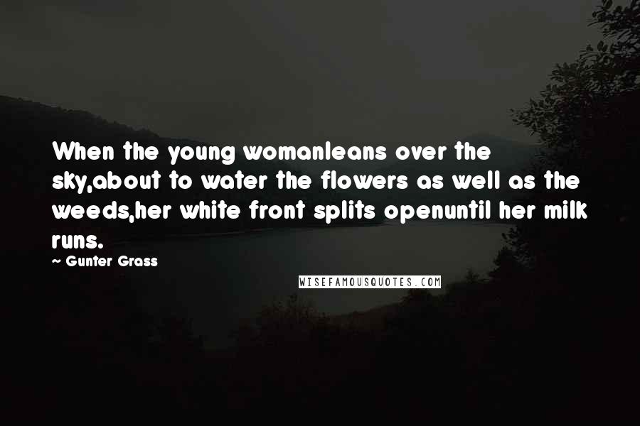 Gunter Grass Quotes: When the young womanleans over the sky,about to water the flowers as well as the weeds,her white front splits openuntil her milk runs.