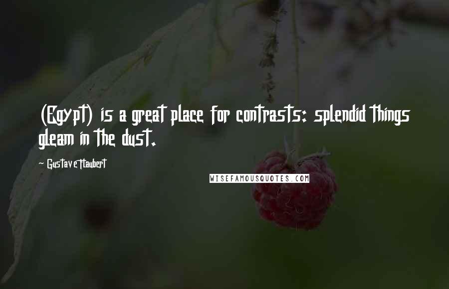 Gustave Flaubert Quotes: (Egypt) is a great place for contrasts: splendid things gleam in the dust.