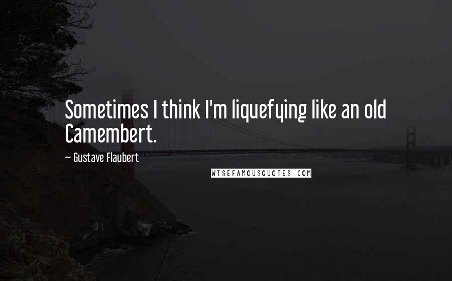 Gustave Flaubert Quotes: Sometimes I think I'm liquefying like an old Camembert.