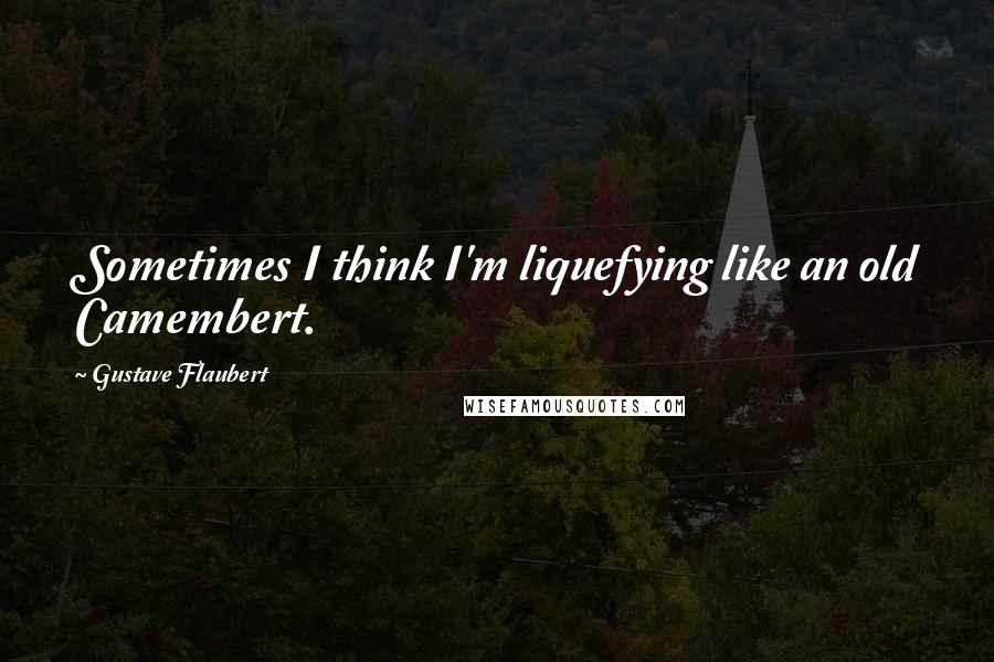 Gustave Flaubert Quotes: Sometimes I think I'm liquefying like an old Camembert.