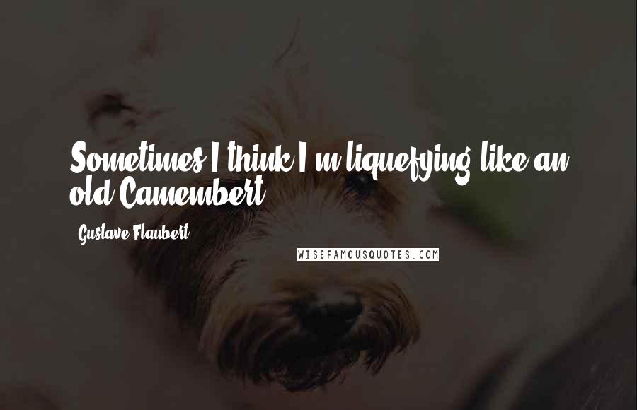 Gustave Flaubert Quotes: Sometimes I think I'm liquefying like an old Camembert.