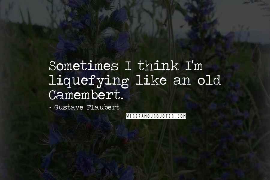 Gustave Flaubert Quotes: Sometimes I think I'm liquefying like an old Camembert.