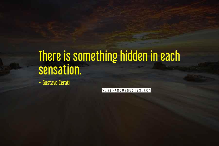 Gustavo Cerati Quotes: There is something hidden in each sensation.