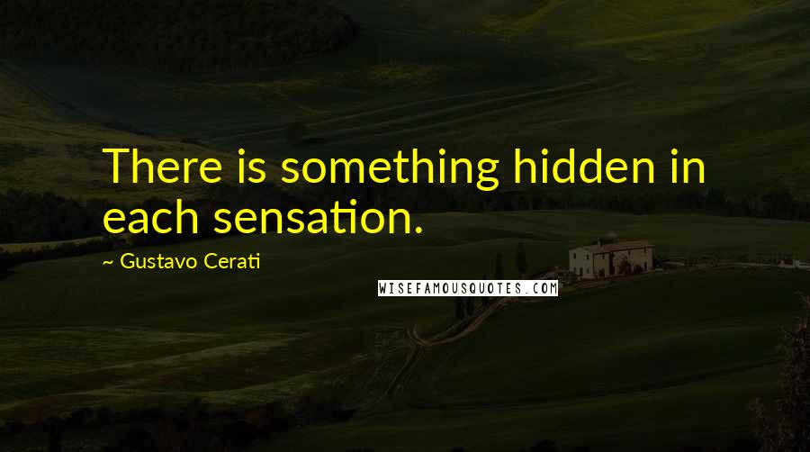 Gustavo Cerati Quotes: There is something hidden in each sensation.