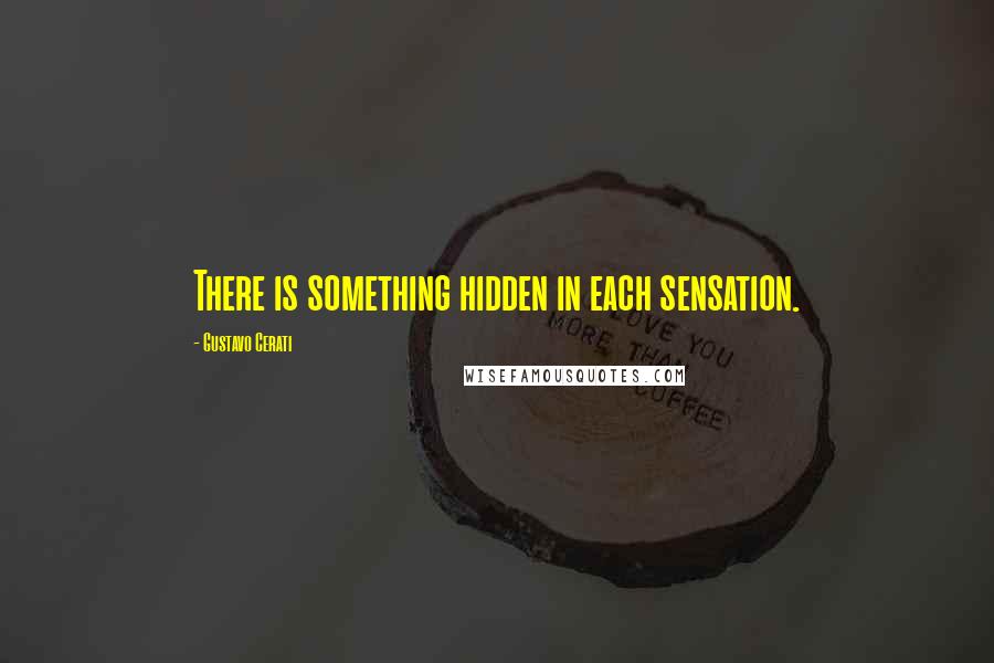 Gustavo Cerati Quotes: There is something hidden in each sensation.