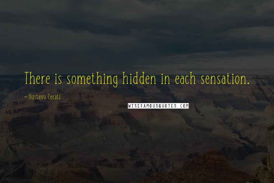 Gustavo Cerati Quotes: There is something hidden in each sensation.