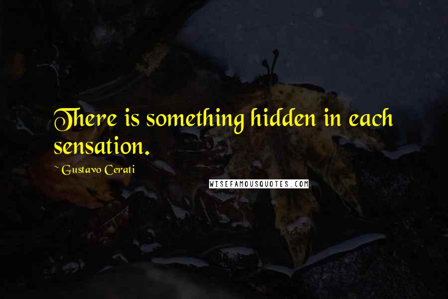 Gustavo Cerati Quotes: There is something hidden in each sensation.