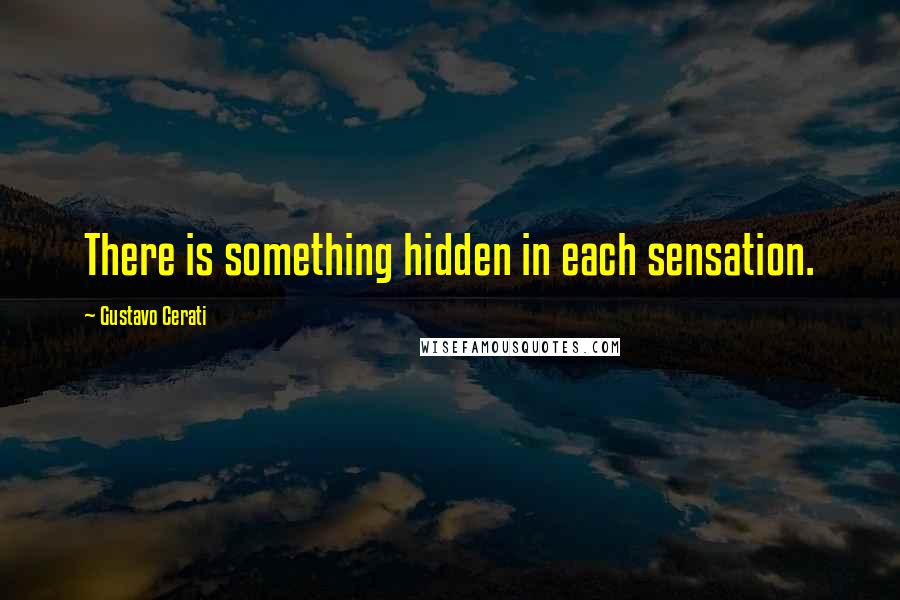 Gustavo Cerati Quotes: There is something hidden in each sensation.