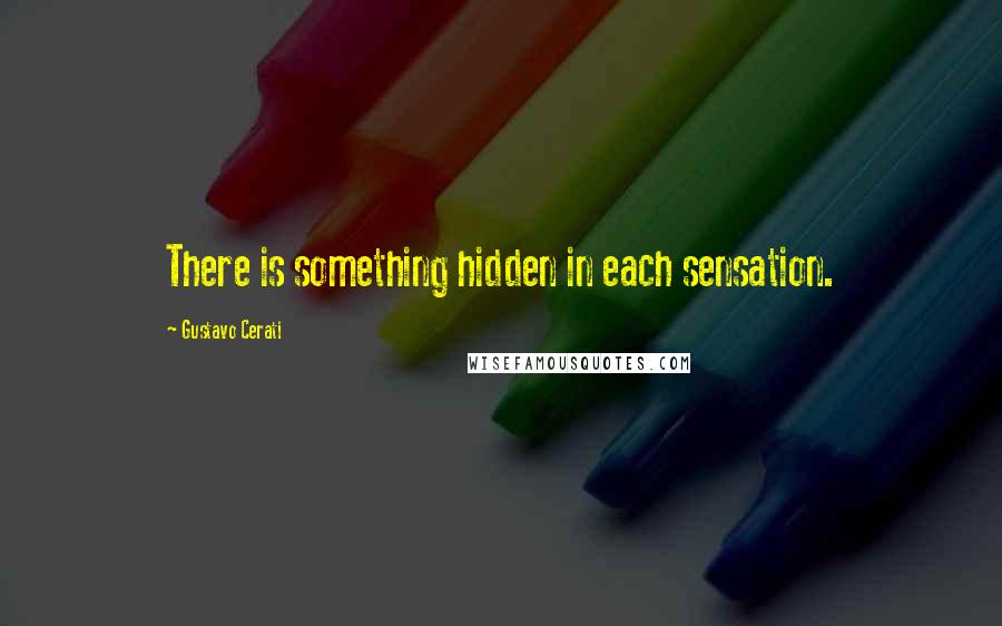 Gustavo Cerati Quotes: There is something hidden in each sensation.