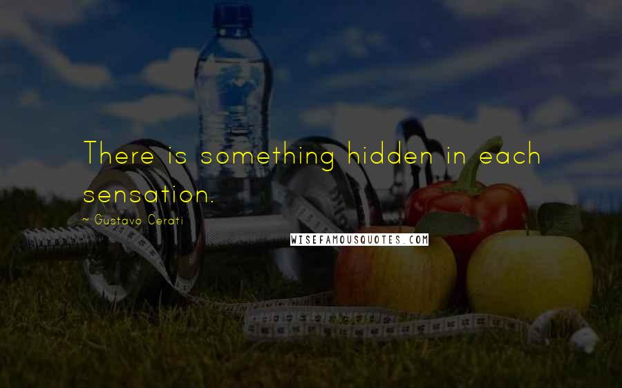 Gustavo Cerati Quotes: There is something hidden in each sensation.