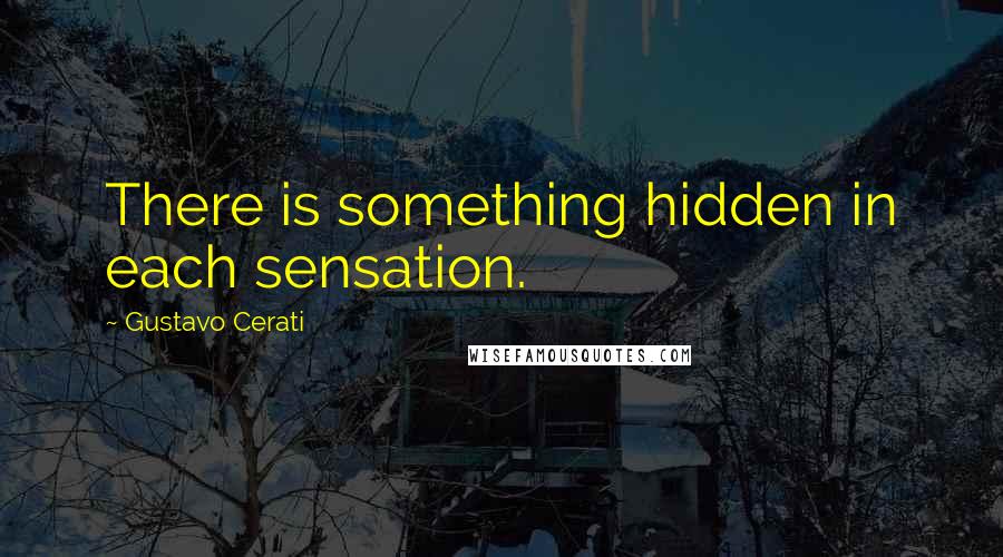 Gustavo Cerati Quotes: There is something hidden in each sensation.