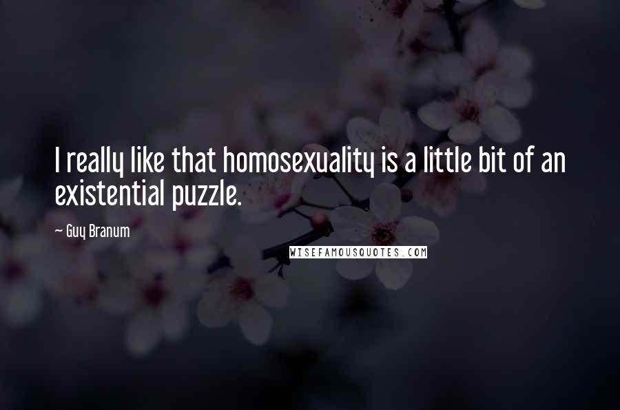 Guy Branum Quotes: I really like that homosexuality is a little bit of an existential puzzle.