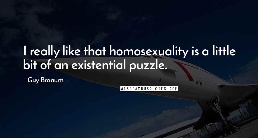 Guy Branum Quotes: I really like that homosexuality is a little bit of an existential puzzle.