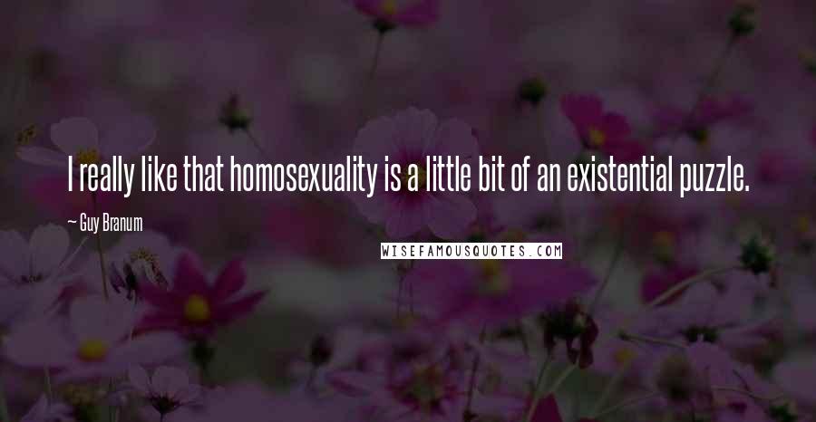 Guy Branum Quotes: I really like that homosexuality is a little bit of an existential puzzle.