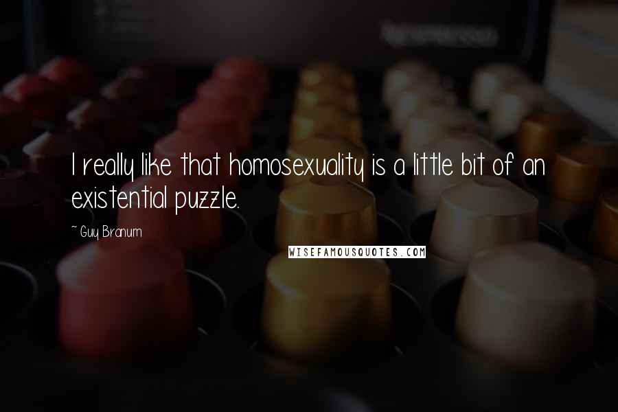 Guy Branum Quotes: I really like that homosexuality is a little bit of an existential puzzle.